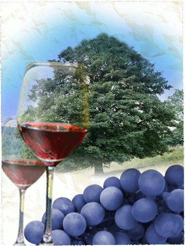 wine, grapes, Oak tree
